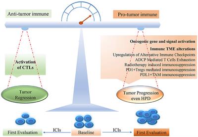 Hyperprogressive Disease in Malignant Carcinoma With Immune Checkpoint Inhibitor Use: A Review